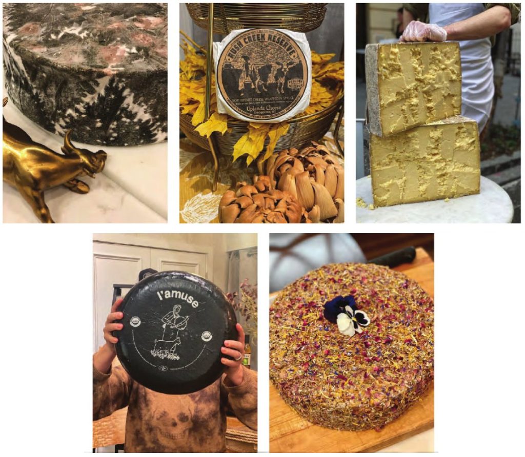 Bedford Cheese Shop’s Evolution Cheese Connoisseur